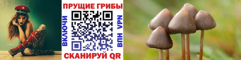 Псилоцибиновые грибы ЛСД  сколько стоит  Ленск 